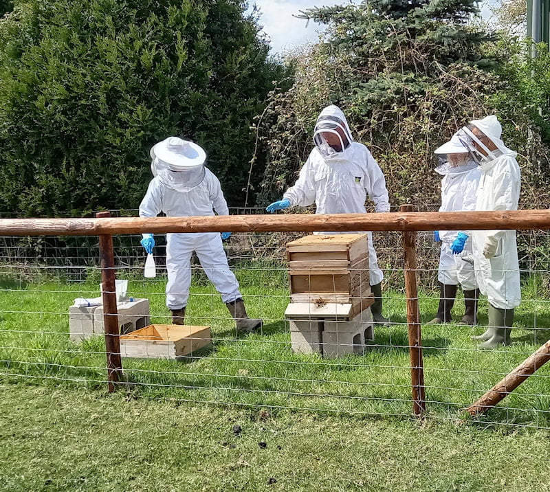 Shipston Beekeepers Introduction to Beekeeping 2021