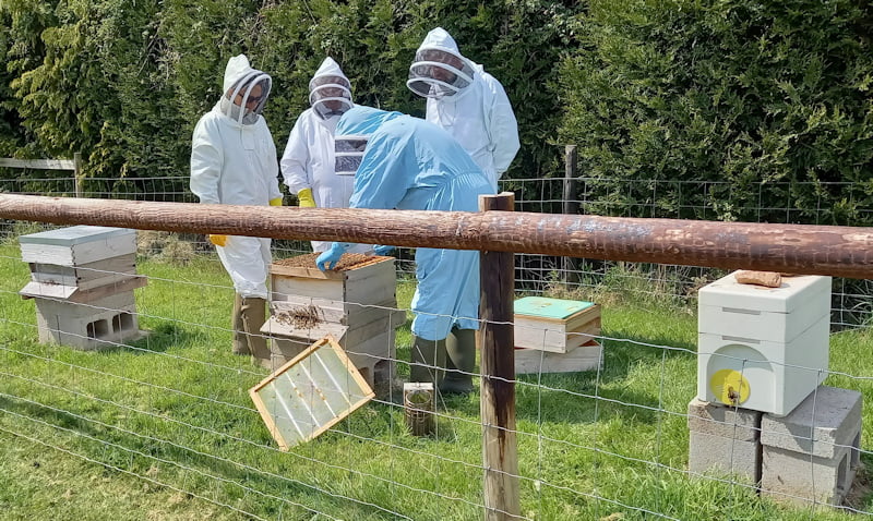 Shipston Beekeepers Into to Beekeeping course 2021