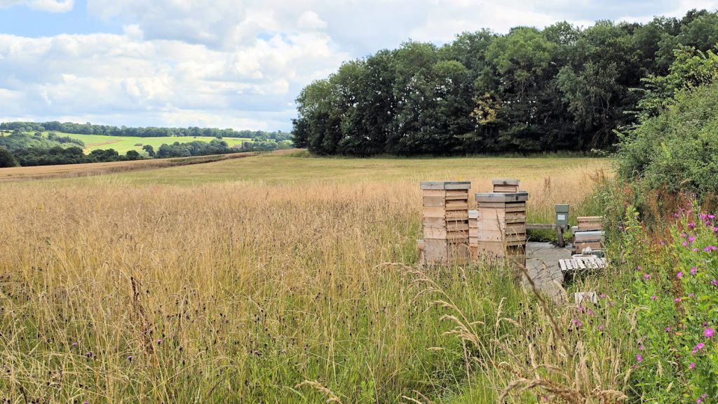 Graham Frabnklin's out-apiary